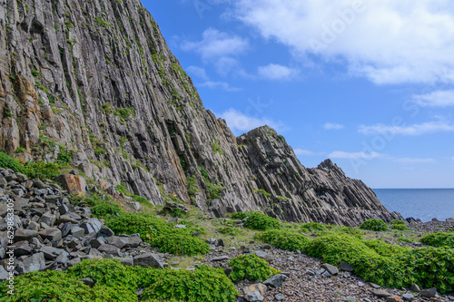 日浦岬の柱状節理 photo