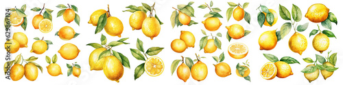 Set of Lemon watercolor collection of hand drawn, Lemon yellow, orange color, Lemon elegant watercolor , Lemon isolated transparent background, PNG.