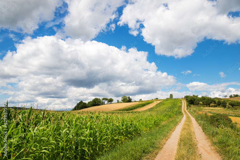 Fototapeta premium impressive clouds over land