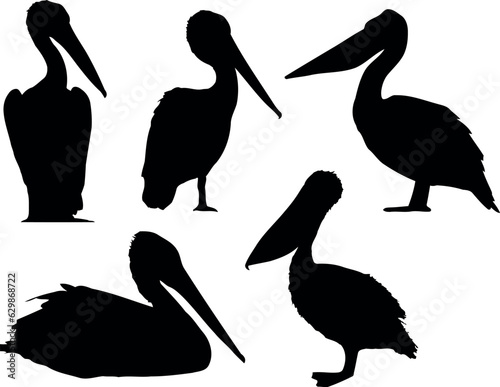 A collection of vector illustrations of pelican silhouettes in various positions. The pelicans are depicted in different actions, such as diving, sitting, standing, and flying.
