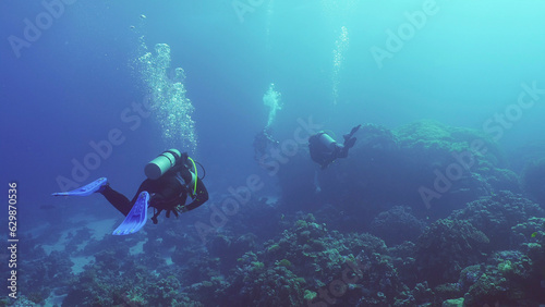 Group of scuba divers swims in the deep next to coral reef in bright sunny day, , Backlighting (Contre-jour), Back view, Red sea, Safaga, Egypt