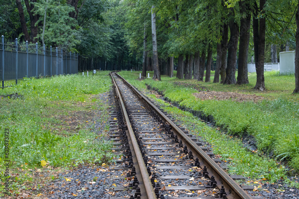 Narrow gauge railway passing through a dense shady park Narrow gauge railway passing through a dense shady park