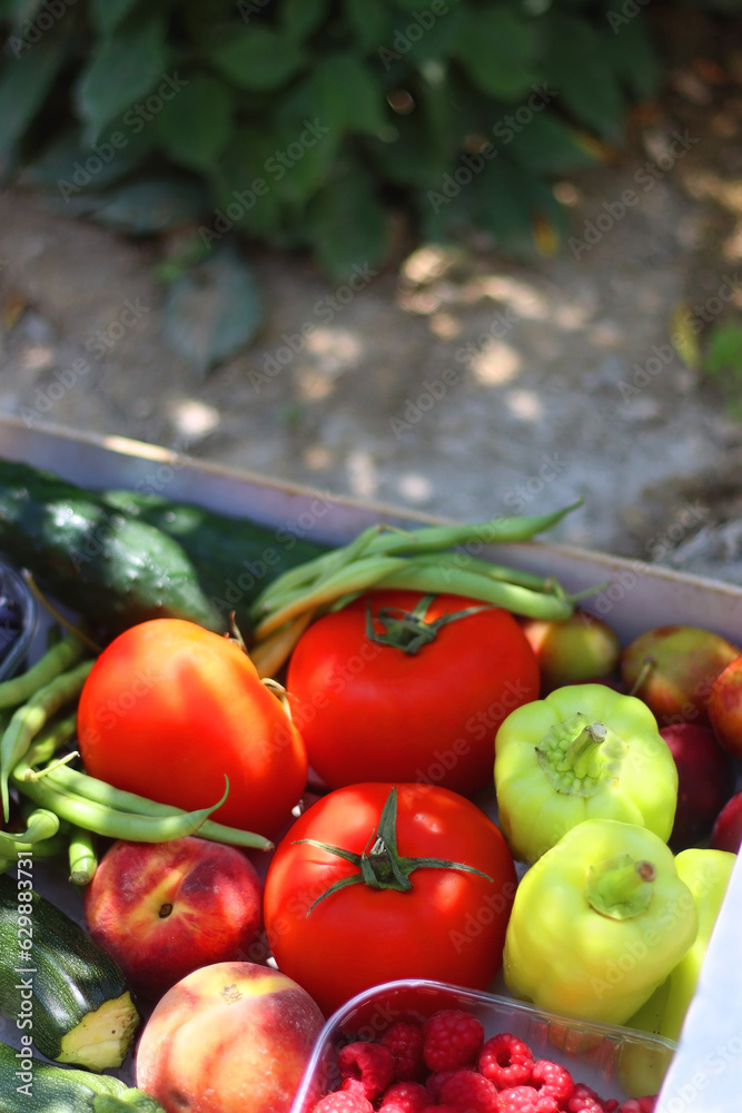 Wooden crate full of healthy seasonal fruit and vegetable, in the garden. Selective focus.