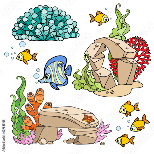 Algae, anemones, sandstones compositions with corals and fishes set color drawing