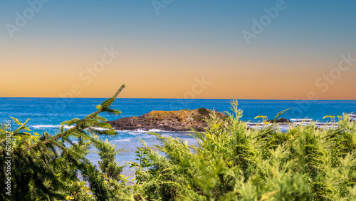  Blue sky and sea view behind green pine tree at sunset. writing area . photo