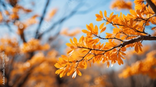 abstract nature autumn Background with yellow leaves