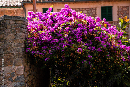 View of a medieval street in the Old Town of the picturesque Spanish-style village Fornalutx, Majorca or Mallorca island