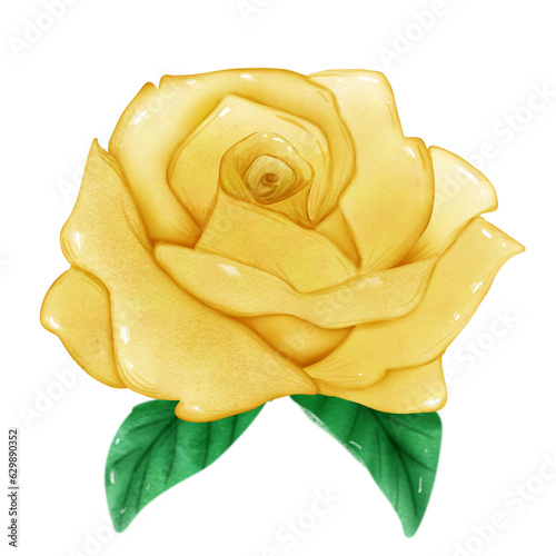 yellow rose 