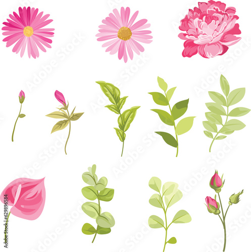 set of floral elements, flowers and green leaves