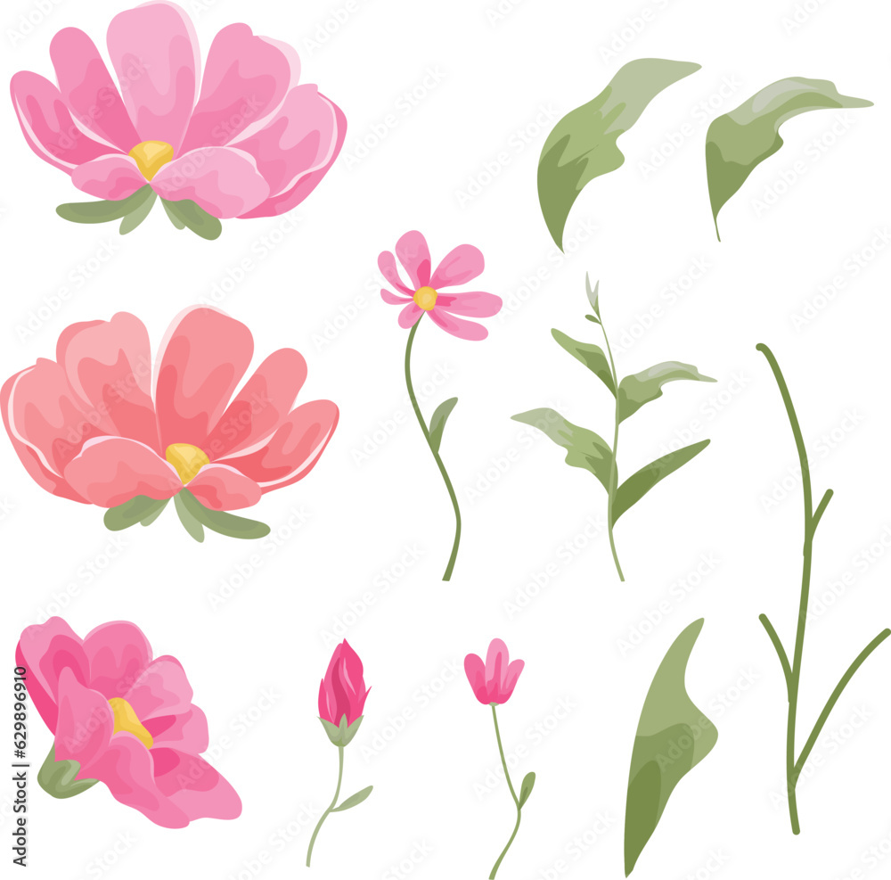 set of floral elements, flowers and green leaves set of floral elements, flowers and green leaves