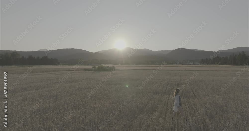Chica andando por atardecer por el campo de trigo ( log footage )