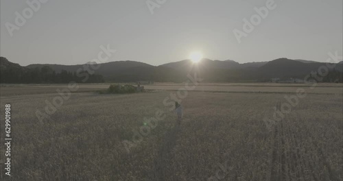 Chica andando por atardecer por el campo de trigo ( log footage )