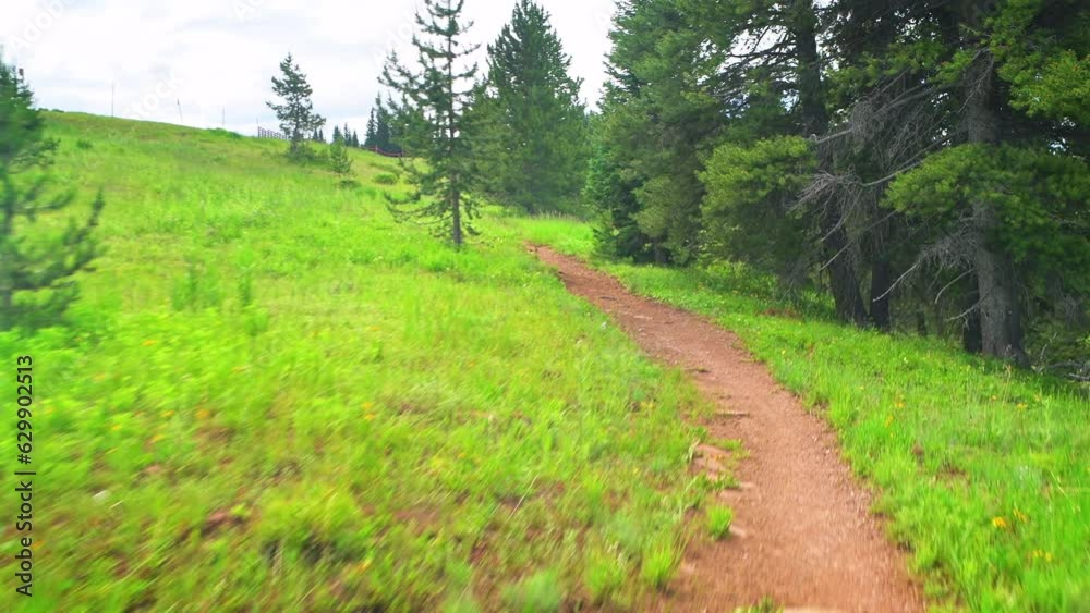 Running by wildflower meadow in spring summer at Colorado Top of Vail Tour Ridge route hiking trail pov point of view handheld shot