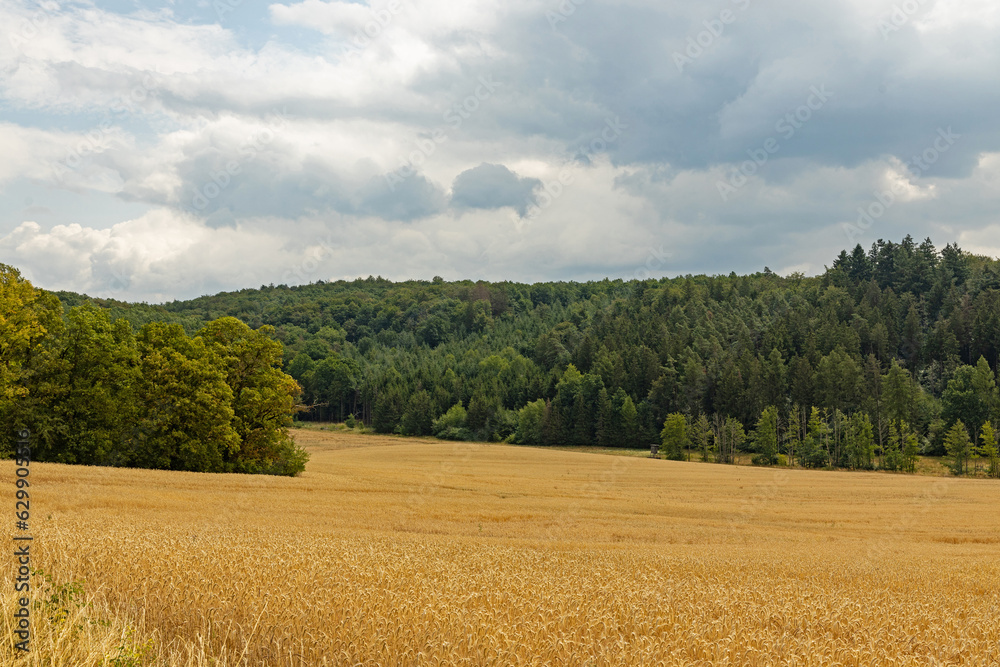 landscape in summer in thuringia near Heldburg