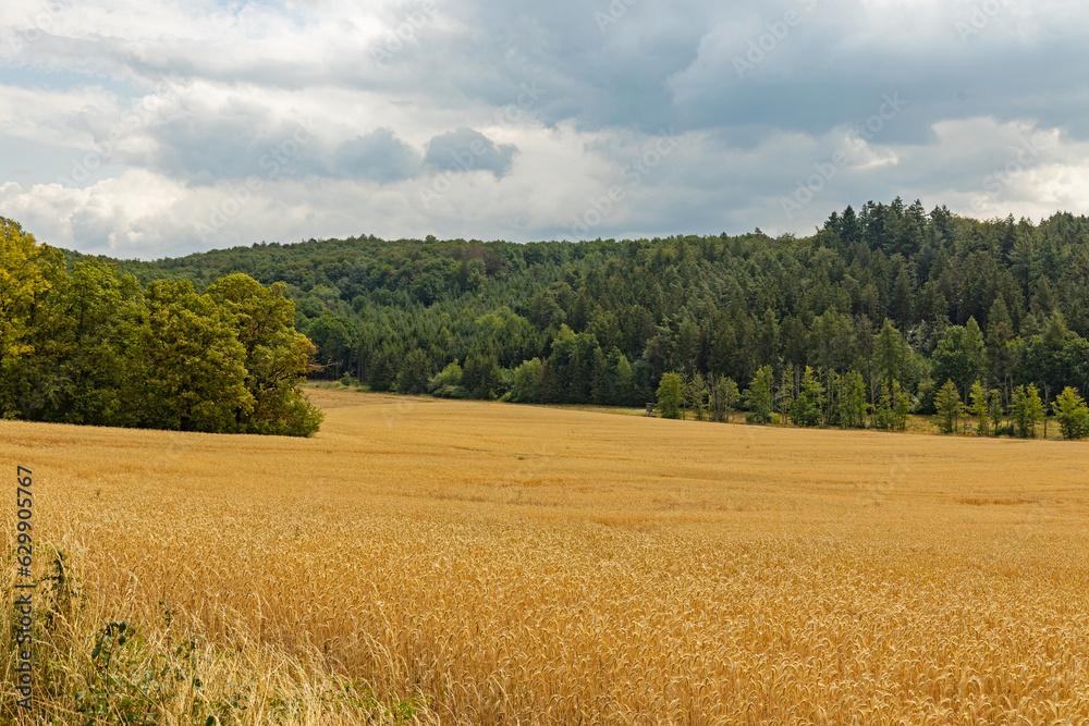 landscape in summer in thuringia near Heldburg landscape in summer in thuringia near Heldburg