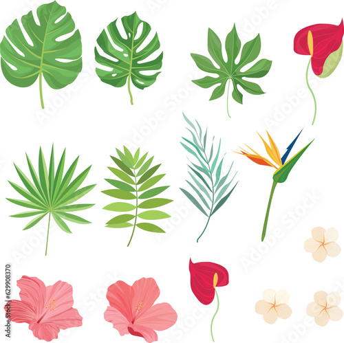 set of summer elements with tropical leaves elements