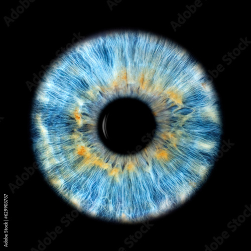 IRIS EWP