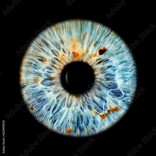 IRIS EWP