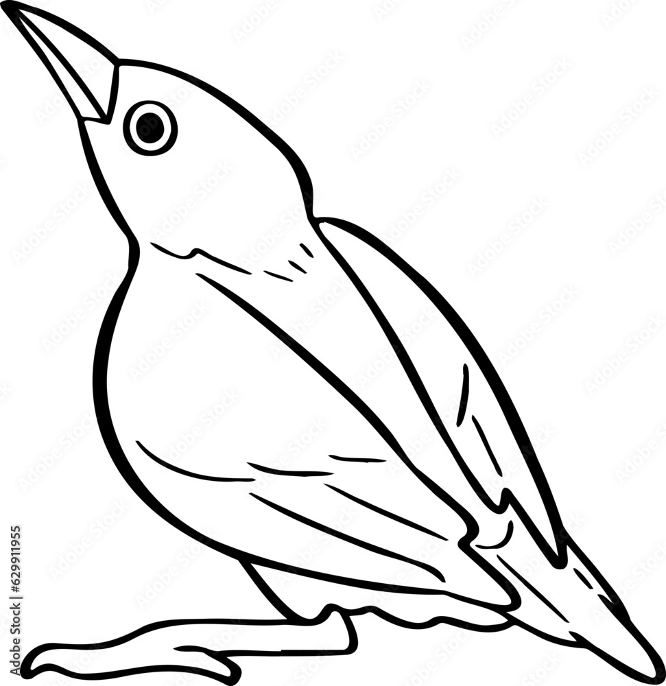 Obraz premium hand drawn bird illustration.