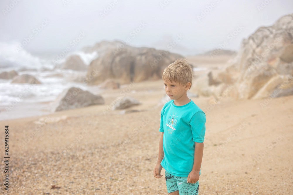 Beautiful blond child, boy, gathering shells on the beach in Portugal on a cloudy foggy day Beautiful blond child, boy, gathering shells on the beach in Portugal on a cloudy foggy day
