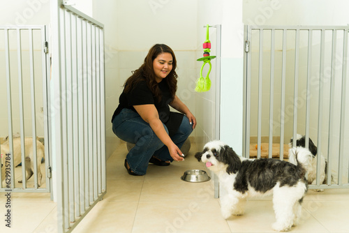 Worker giving food to a dog at the dog daycare photo