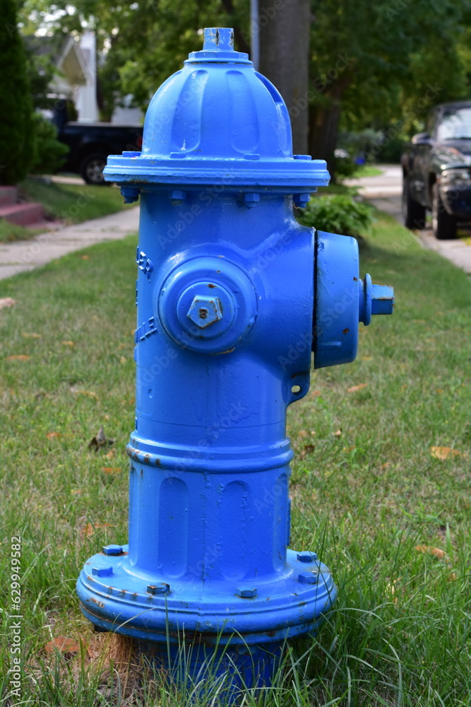 Blue Fire Hydrant in Grass in Burlington, Wisconsin Blue Fire Hydrant in Grass in Burlington, Wisconsin