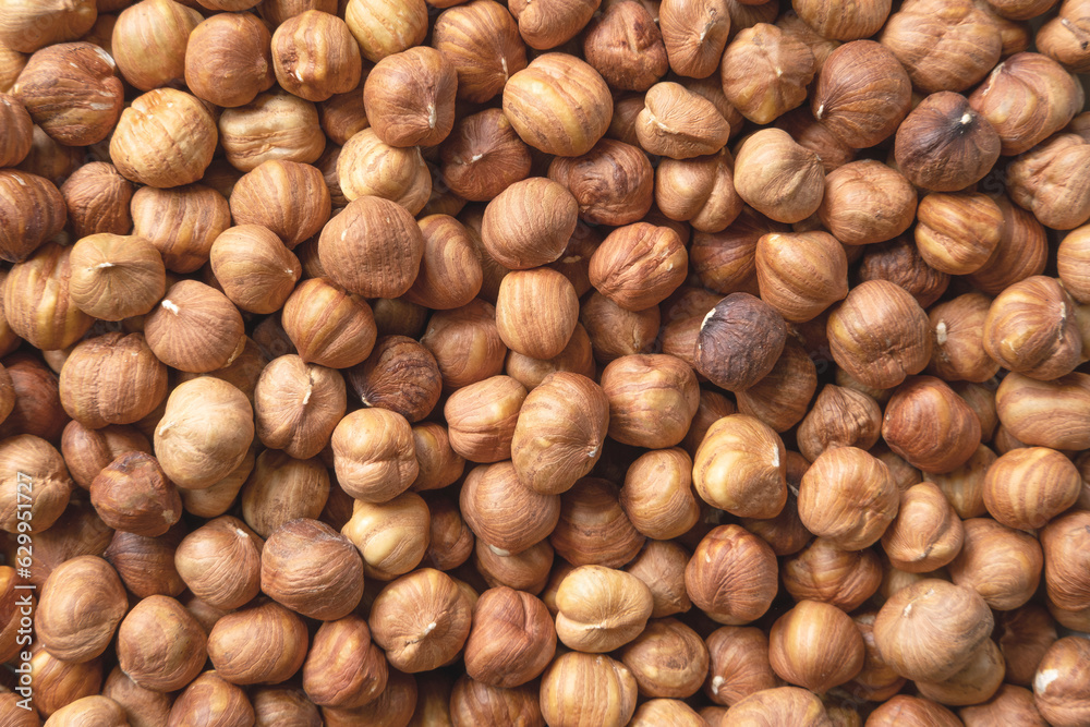 Hazelnuts harvest. Filbert photo wallpaper. Full frame of hazel. Cobnut background. Peeled brown nut kernels. Healthy organic bio products. Vegetarian, vegan and raw food. Back to nature. Healthy fat Hazelnuts harvest. Filbert photo wallpaper. Full frame of hazel. Cobnut background. Peeled brown nut kernels. Healthy organic bio products. Vegetarian, vegan and raw food. Back to nature. Healthy fat