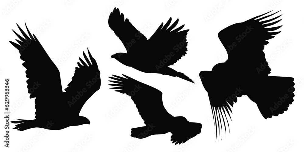 Obraz premium Animals Eagle Silhouettes Vector Illustration