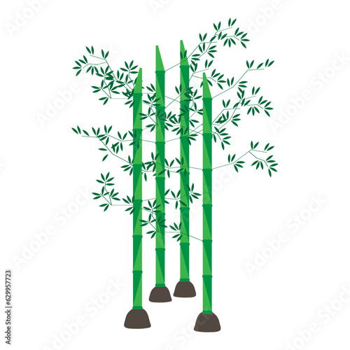 bamboo vector illustration