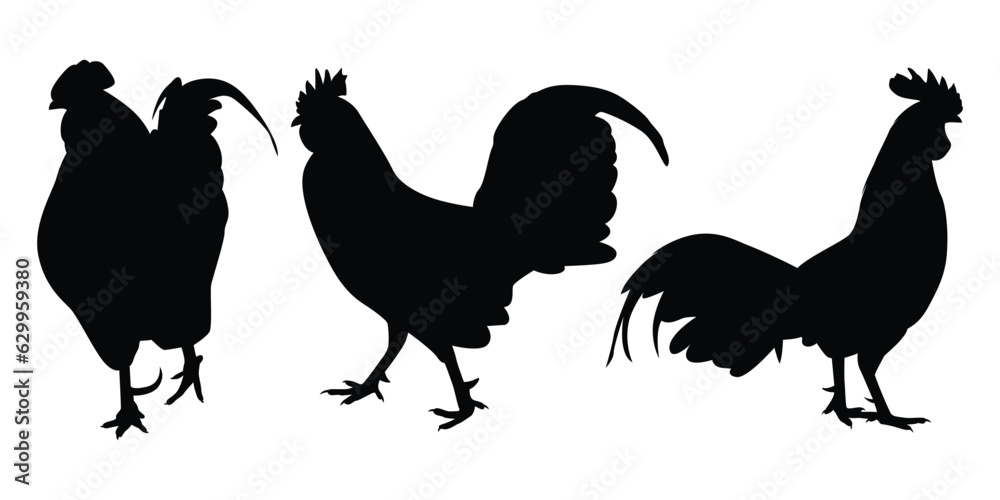 Fototapeta premium Farm Animal Rooster Silhouette Vector Illustration