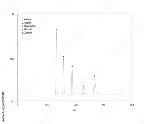 Chromatogram of purine bases in beer, adenine, guanine, hypoxanthine, uric acid, xanthine photo