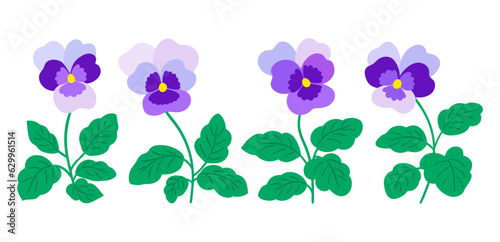set of vector pansies flower illustration