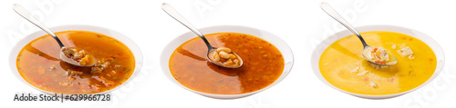 Set of different type of soup photo