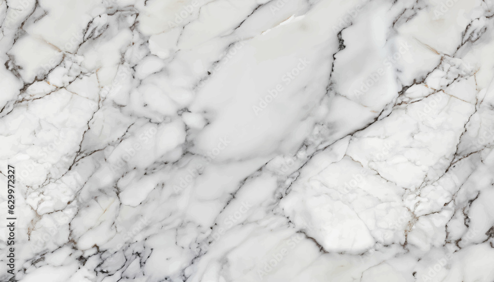 Grey Statuario Carrara Calcutta White Italian Marble Stone Structure For Home Decor And For your Interior Design And tiles add an elegance Effect high resolution
vector illustration Grey Statuario Carrara Calcutta White Italian Marble Stone Structure For Home Decor And For your Interior Design And tiles add an elegance Effect high resolution
vector illustration