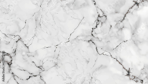Grey Statuario Carrara Calcutta White Italian Marble Stone Structure For Home Decor And For your Interior Design And tiles add an elegance Effect high resolution
vector illustration 