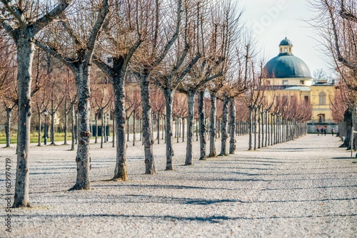Rows of flowering trees outside Drottningholm Palace photo