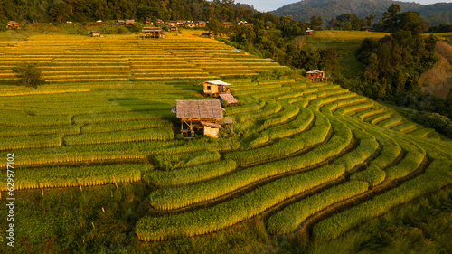 Golden rice terraces field by harvesting season, at Ban Pa Bong Piang Chiang Mai Province, Northern of Thailand, photo