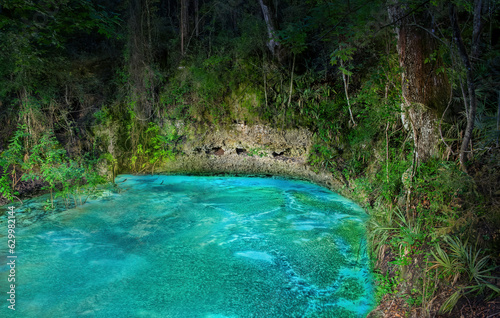 An Illuminated Private Duckweed Covered Sinkhole at Night in Florida photo