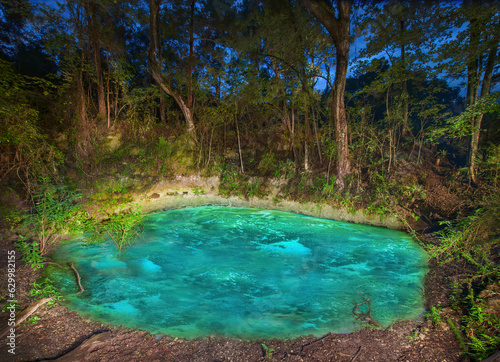 An Illuminated Private Duckweed Covered Sinkhole at Night in Florida