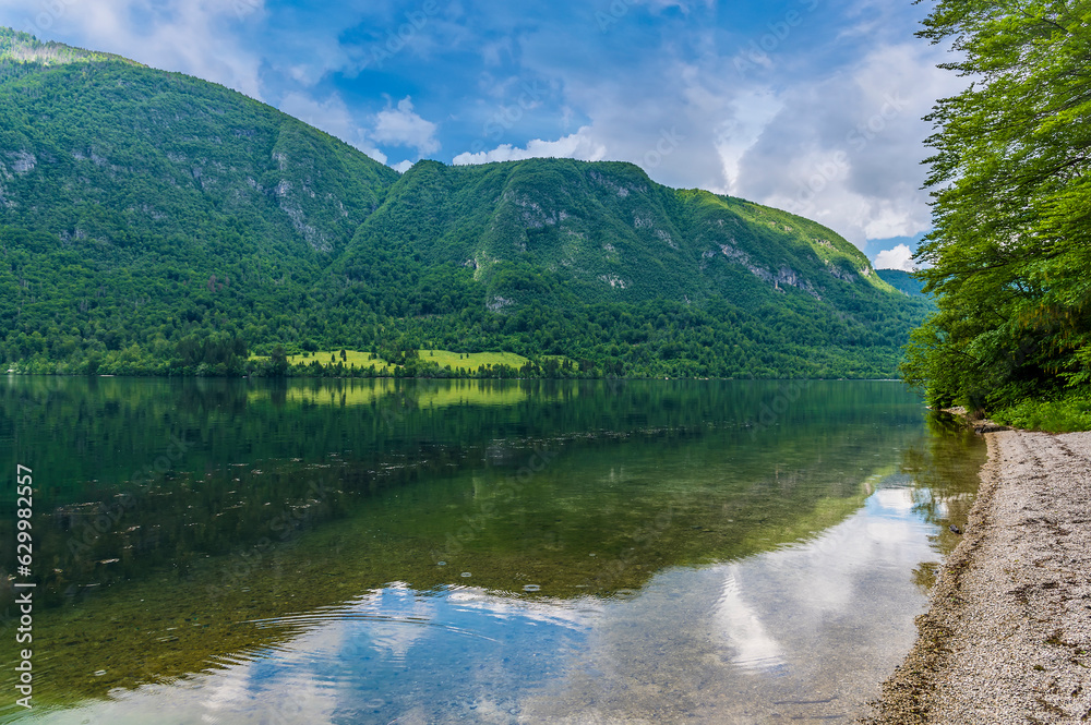 A view along the southern shore of lake Bohinj, Slovenia in summertime