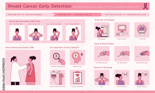 Early Detection is Key, Breast Cancer Screening and Diagnosis Infographic for Women's Health Awareness, Vector Flat Design Template Illustration