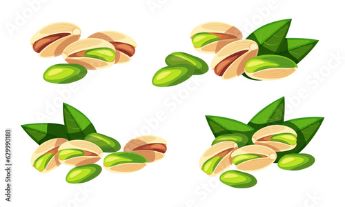 
Set of beautiful and delicious pistachios isolated on white background. Vector illustration of fresh whole, peeled pistachios with green leaves in cartoon style. Healthy snack.