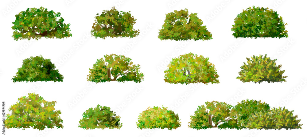Vector of green grass or shrub isolated on white background,tree elevation for landscape concept,environment panorama scene,eco design,watercolor meadow for spring