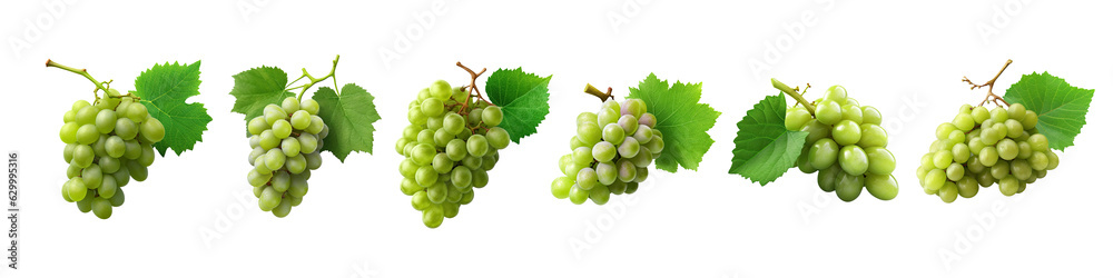 Set of Fresh Green Grapes Cluster: Nature's Bounty Displayed in Realistic Detail ,grape illustration transparent background, PNG Set of Fresh Green Grapes Cluster: Nature's Bounty Displayed in Realistic Detail ,grape illustration transparent background, PNG