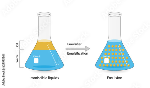 Emulsion, a mixture of two immiscible liquids (oil and water) in flasks, Emulsion oil in water, Immiscible liquids. Emulsification, emulsifier. isolated on white background. Vector illustration.