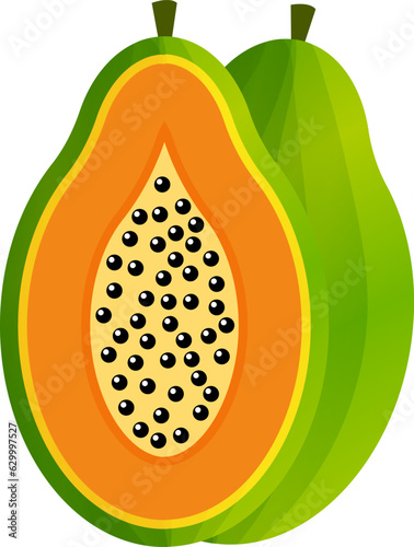 Fresh Fruit Illustration