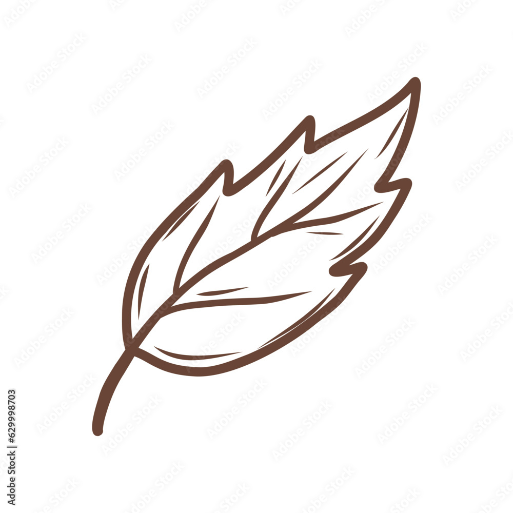 illustration of a oak leaf, autumn doodle icon illustration of a oak leaf, autumn doodle icon