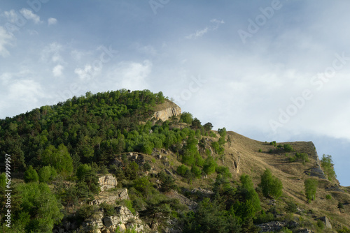 Mountain slope with green trees against the blue sky (Dagestan)