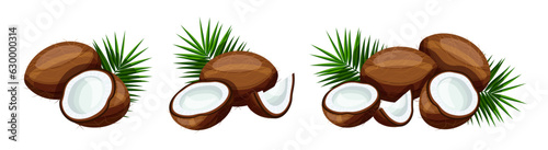 Set of delicious coconuts with green leaves isolated on white background. Vector illustration of fresh whole, half, pieces of coconuts with green leaves in cartoon style.
