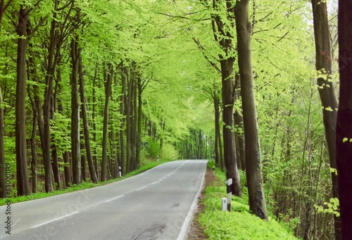 A small green double lane road on the outskirts of Bonn in Germany 